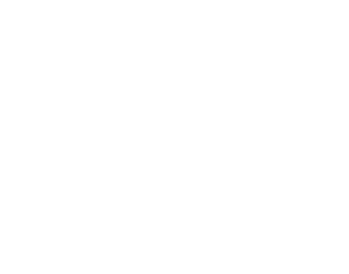 Grupo Evandson Negócios